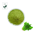 High Quality Spinach Powder